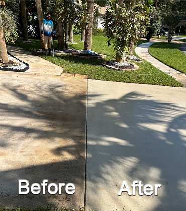 Surface Clean Pressure & Softwash, Sidewalk Pressure Cleaning (Before-After)